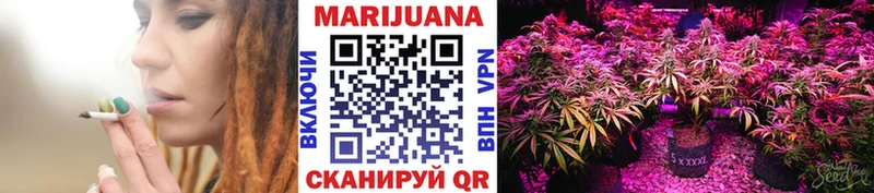 Купить закладки  Ржев  Бошки марихуана Ganja 